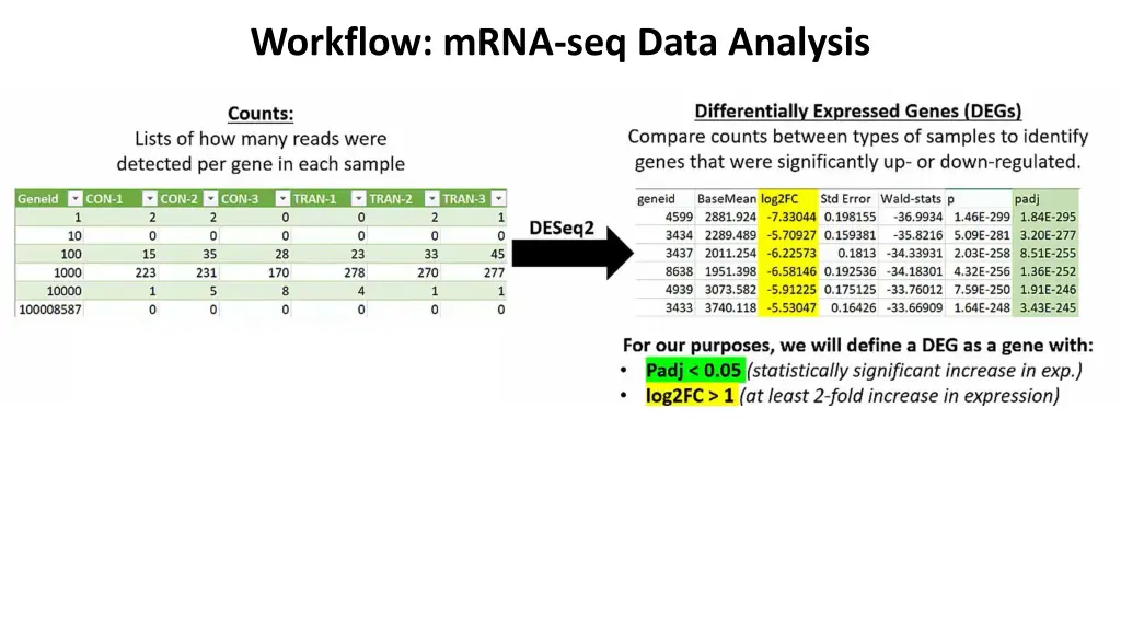 workflow mrna seq data analysis 3