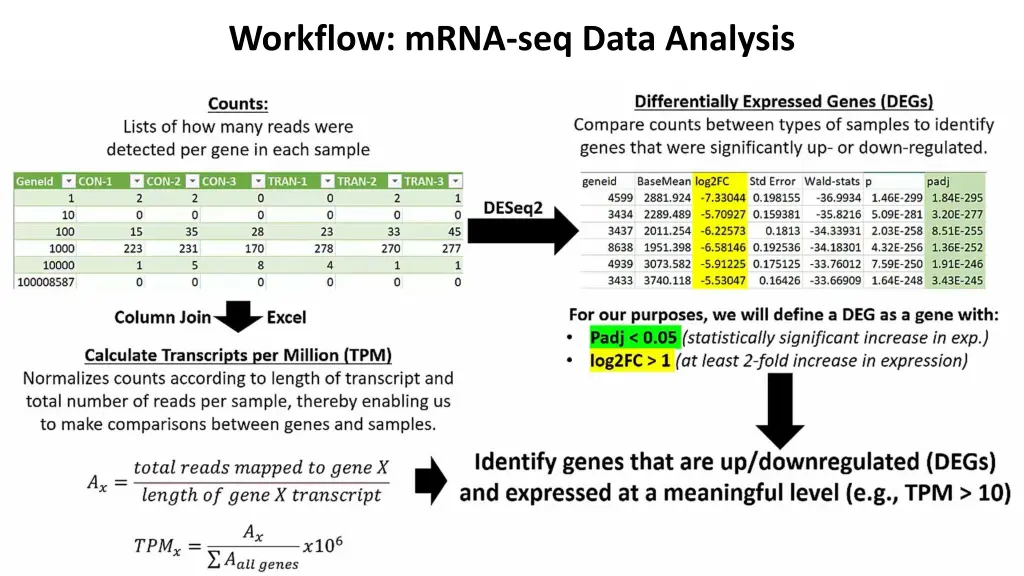 workflow mrna seq data analysis 4