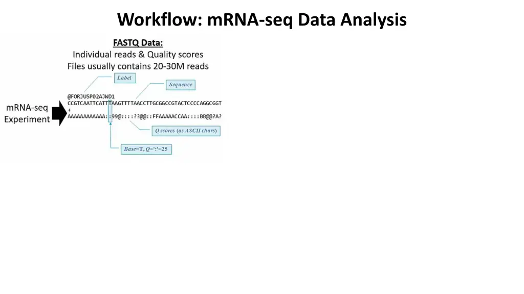 workflow mrna seq data analysis