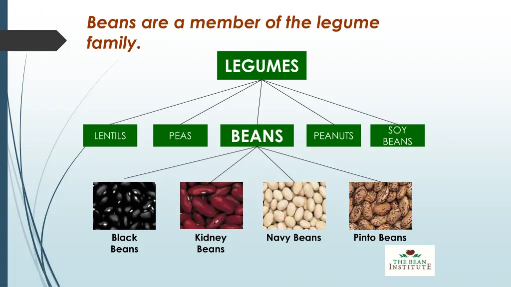 beans are a member of the legume family