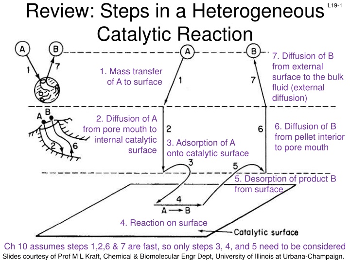 review steps in a heterogeneous catalytic reaction