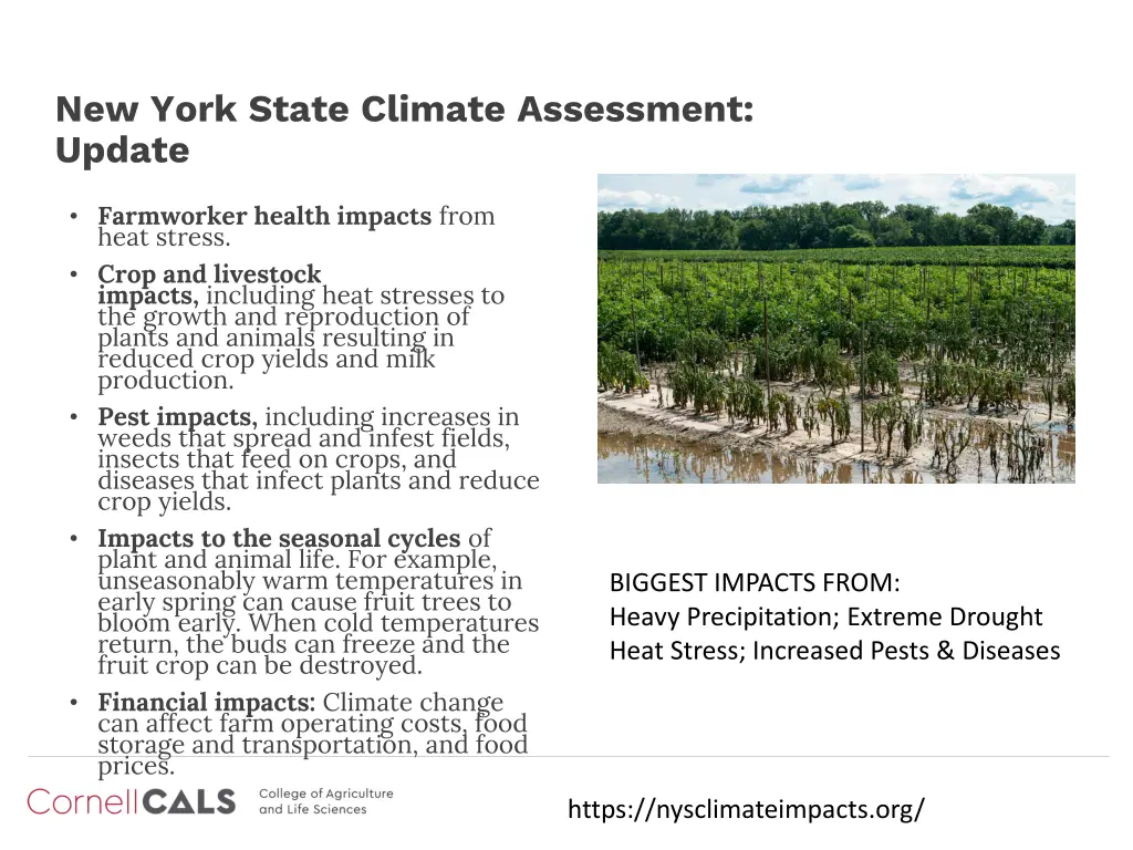 new york state climate assessment update