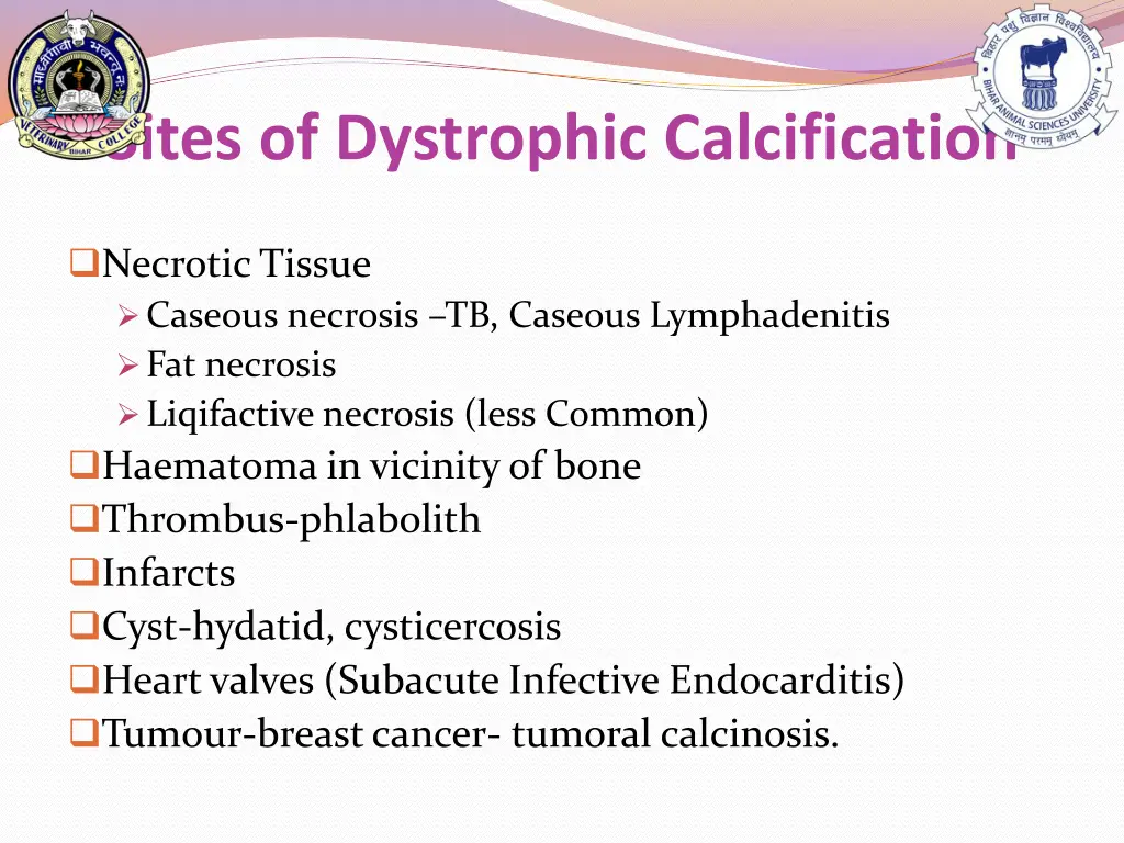 sites of dystrophic calcification