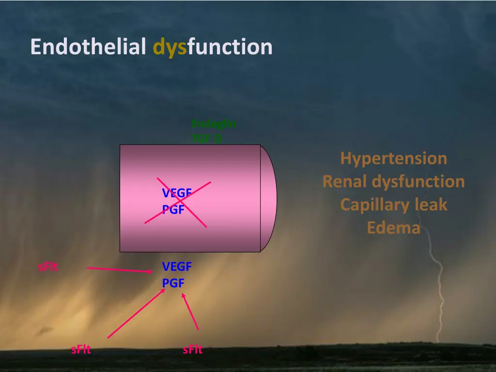 endothelial dysfunction