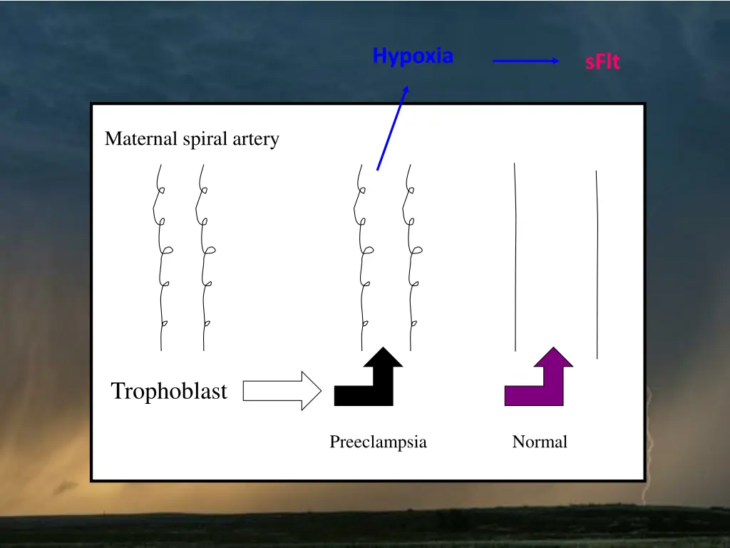 hypoxia