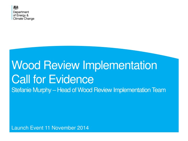 wood review implementation call for evidence