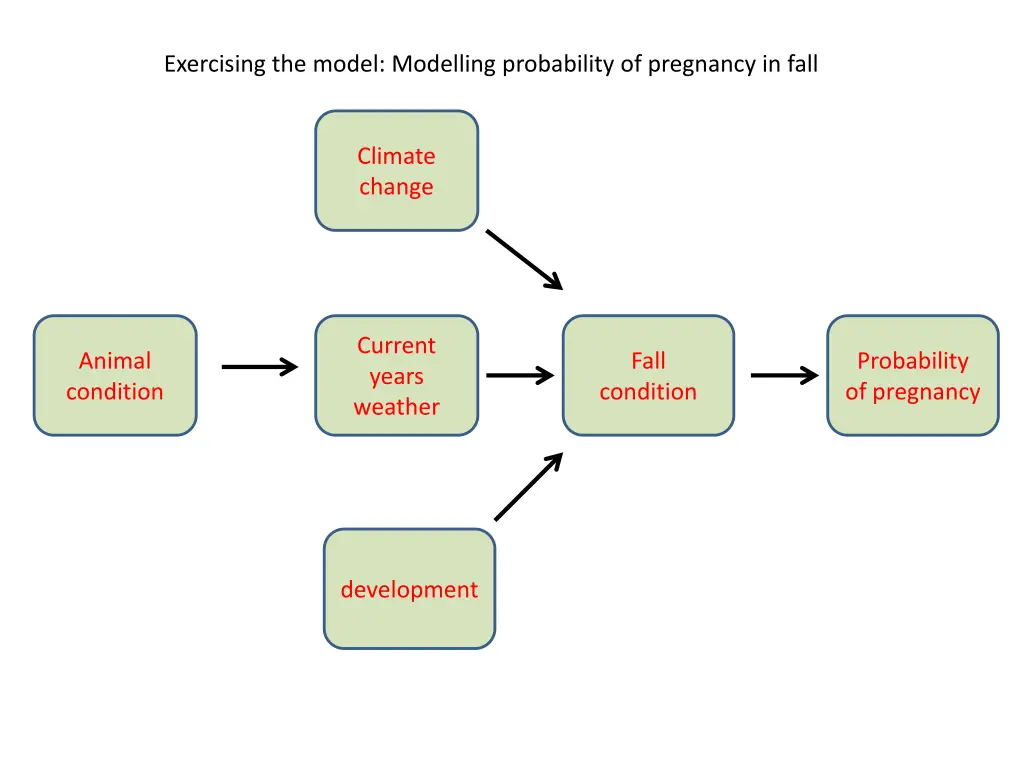 exercising the model modelling probability