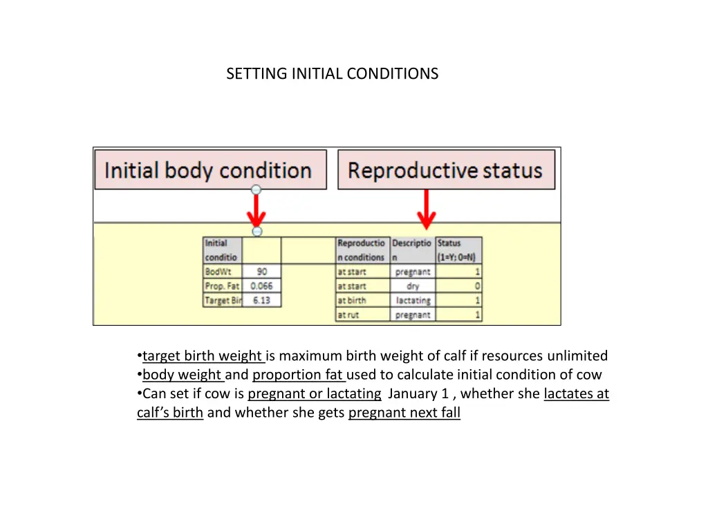 setting initial conditions