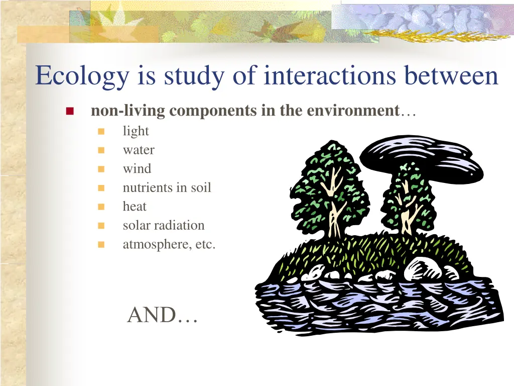 ecology is study of interactions between