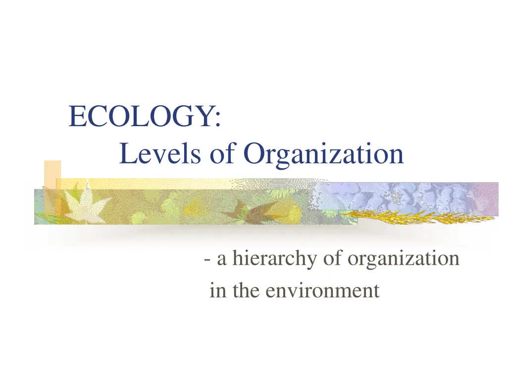 ecology levels of organization