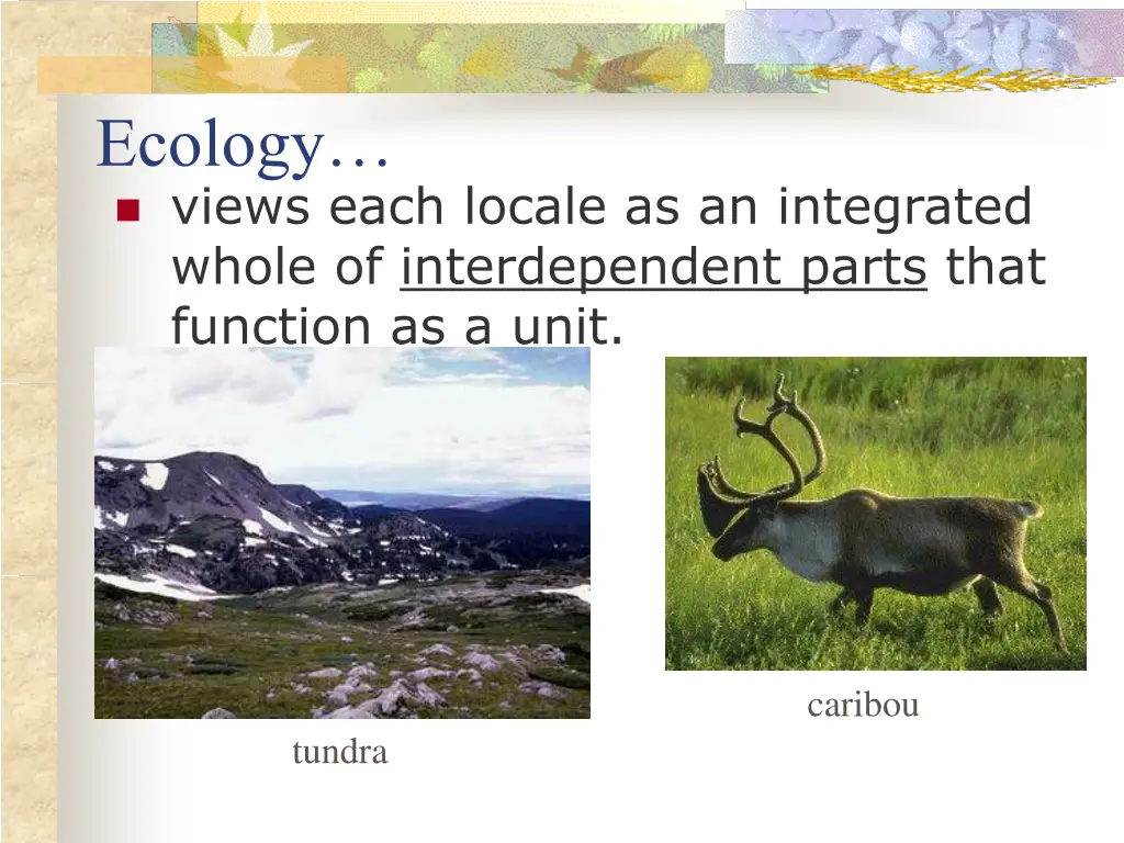 ecology views each locale as an integrated whole