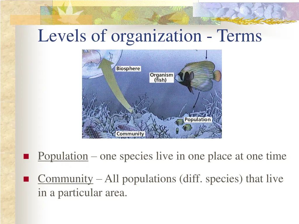 levels of organization terms 1