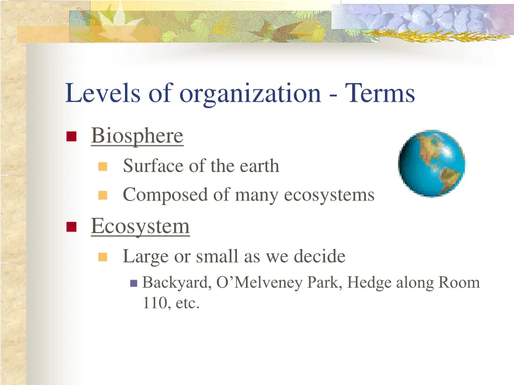 levels of organization terms