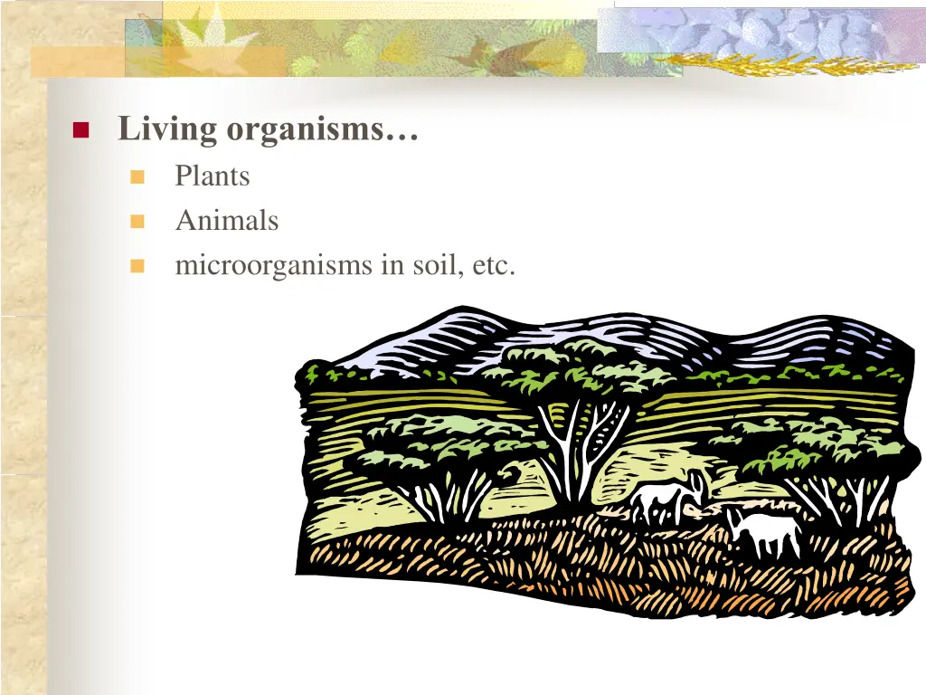 living organisms plants animals microorganisms