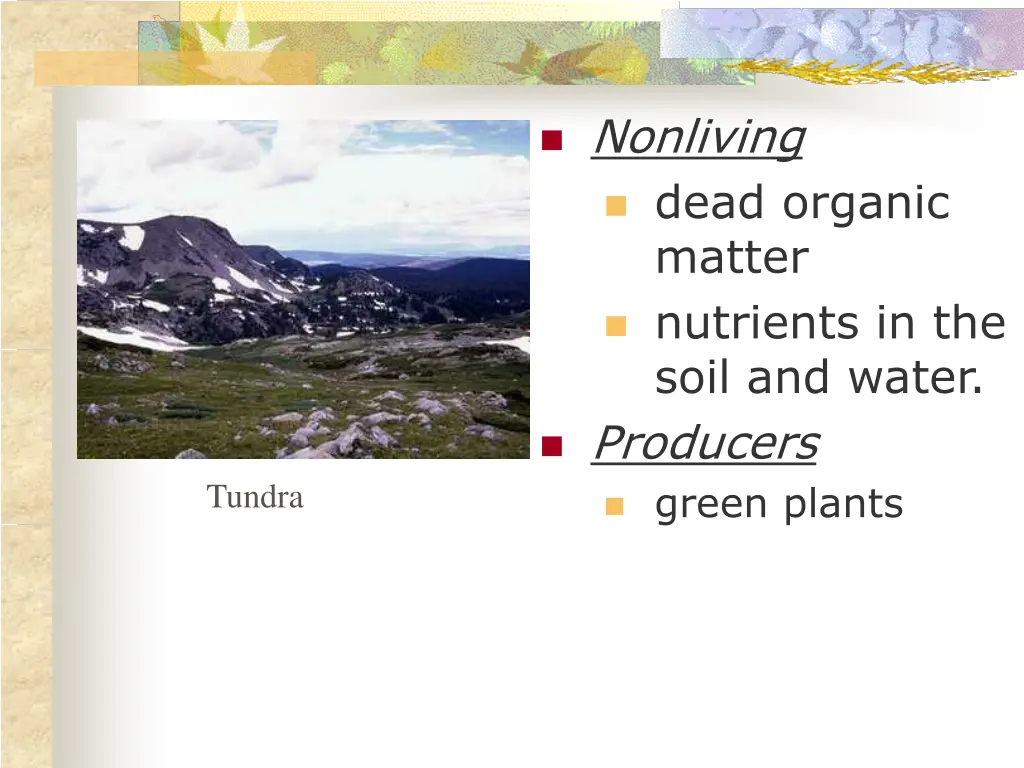 nonliving dead organic matter nutrients