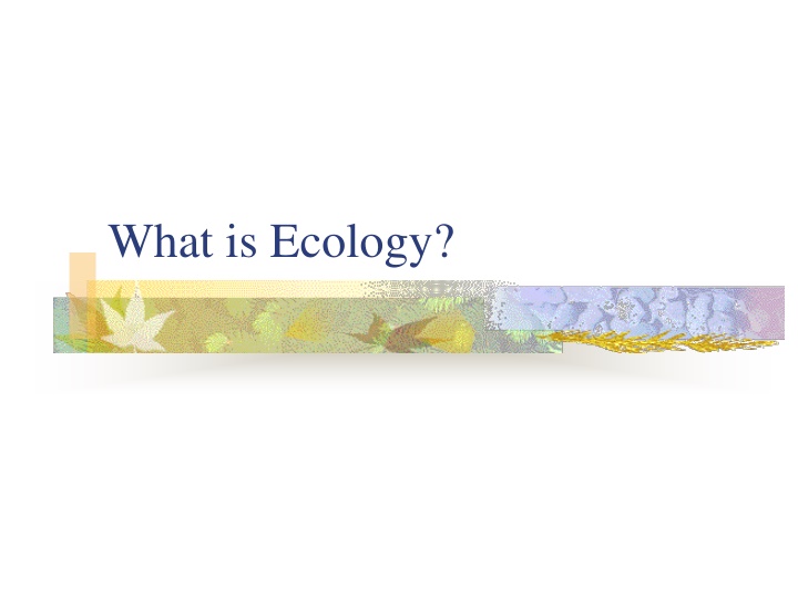 what is ecology