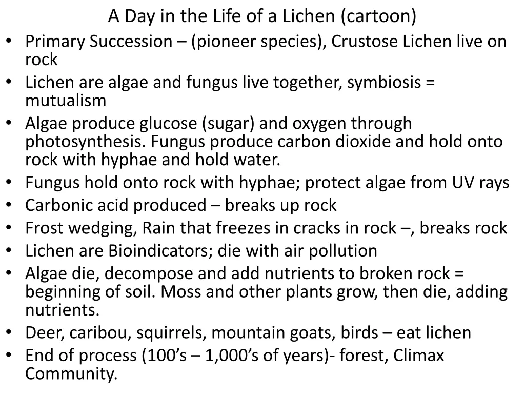 a day in the life of a lichen cartoon primary