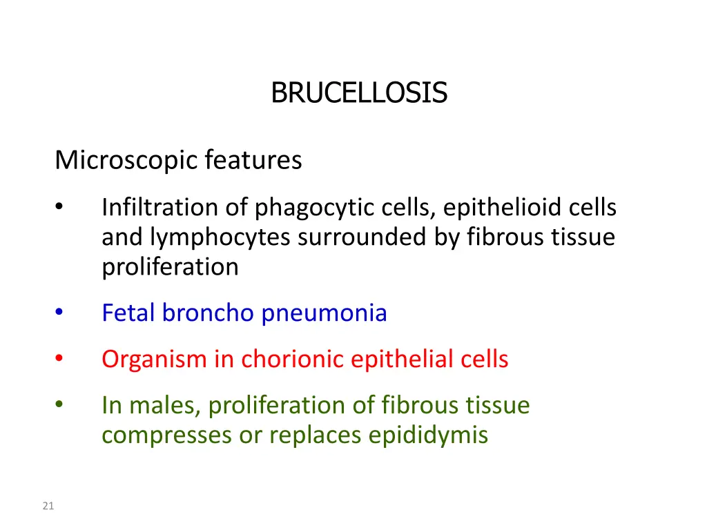 brucellosis 5