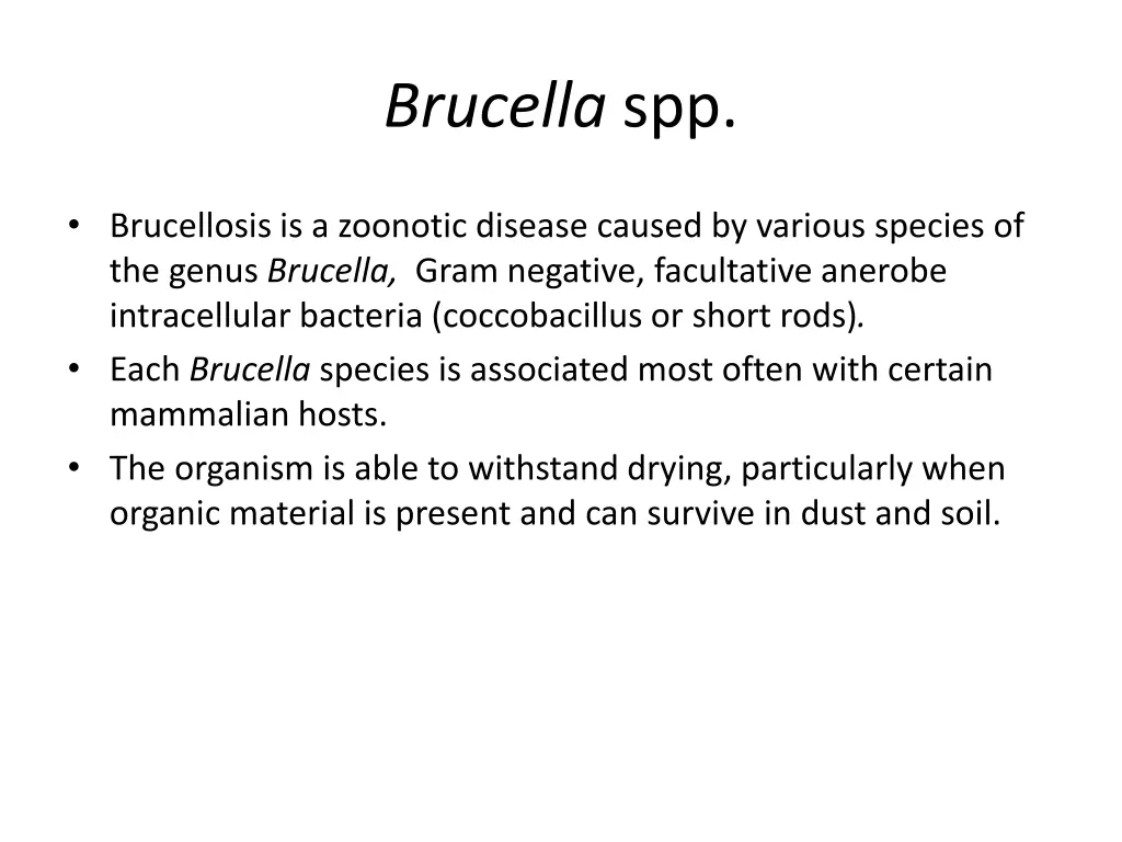 brucella spp