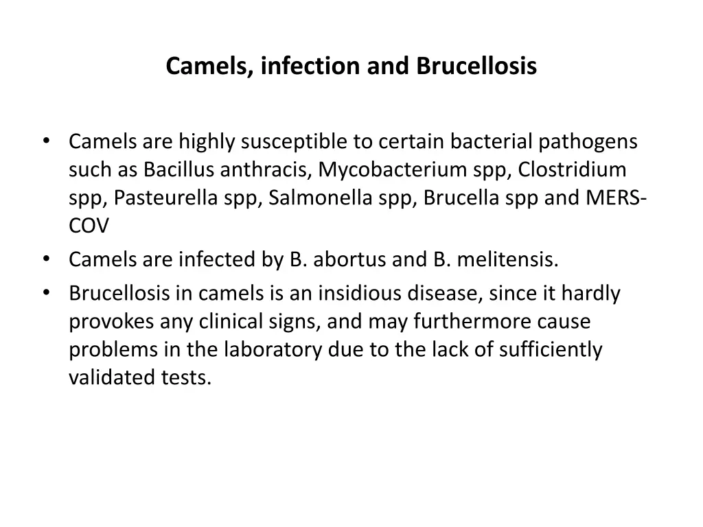 camels infection and brucellosis