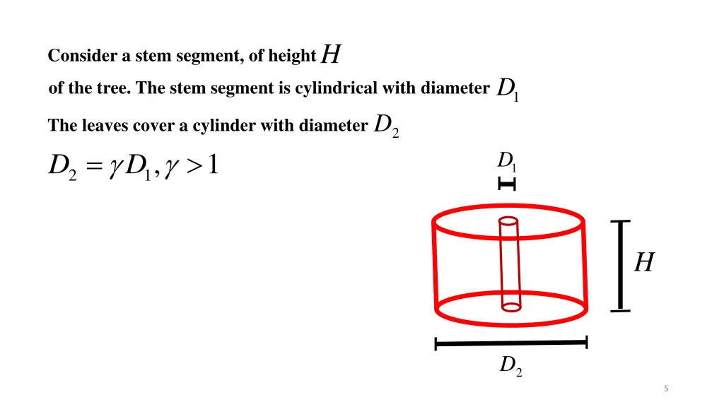 consider a stem segment of height h of the tree