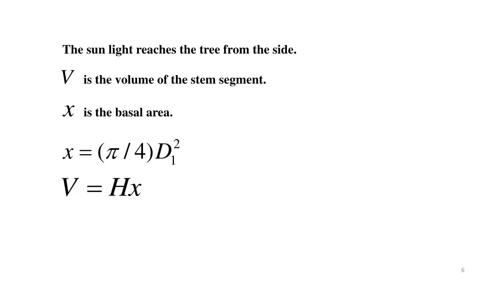 the sun light reaches the tree from the side