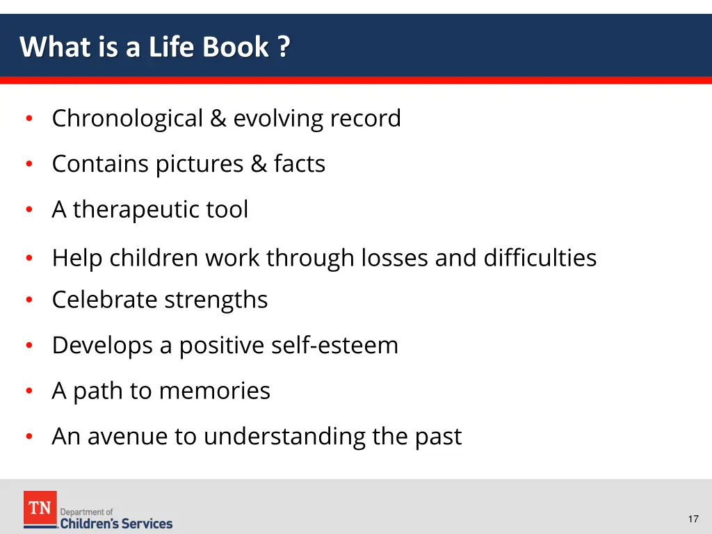 what is a life book