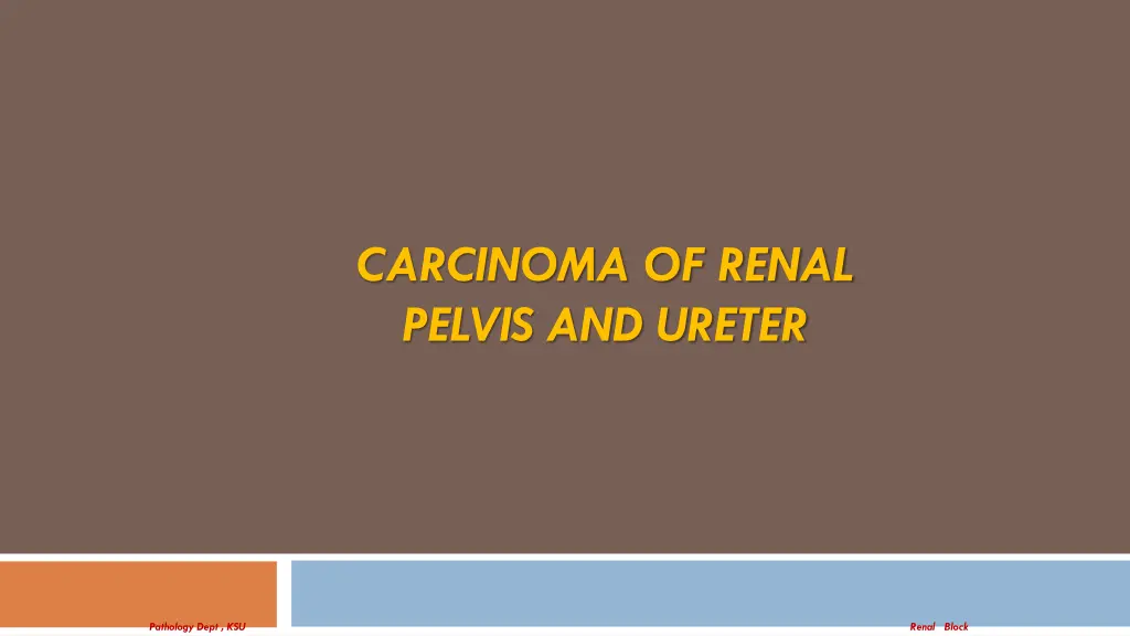 carcinoma of renal pelvis and ureter