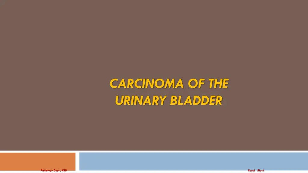 carcinoma of the urinary bladder