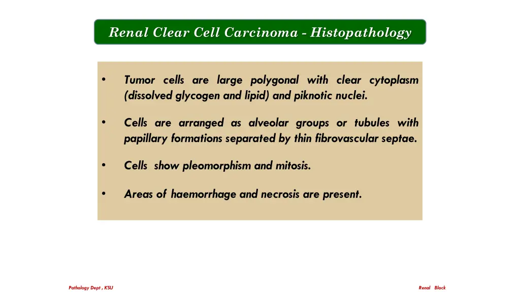 renal clear cell carcinoma histopathology 3