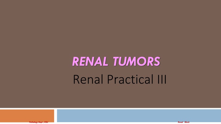 renal tumors renal practical iii