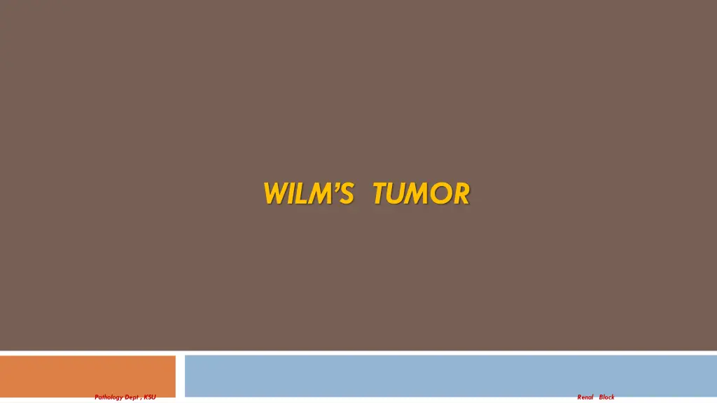 wilm s tumor