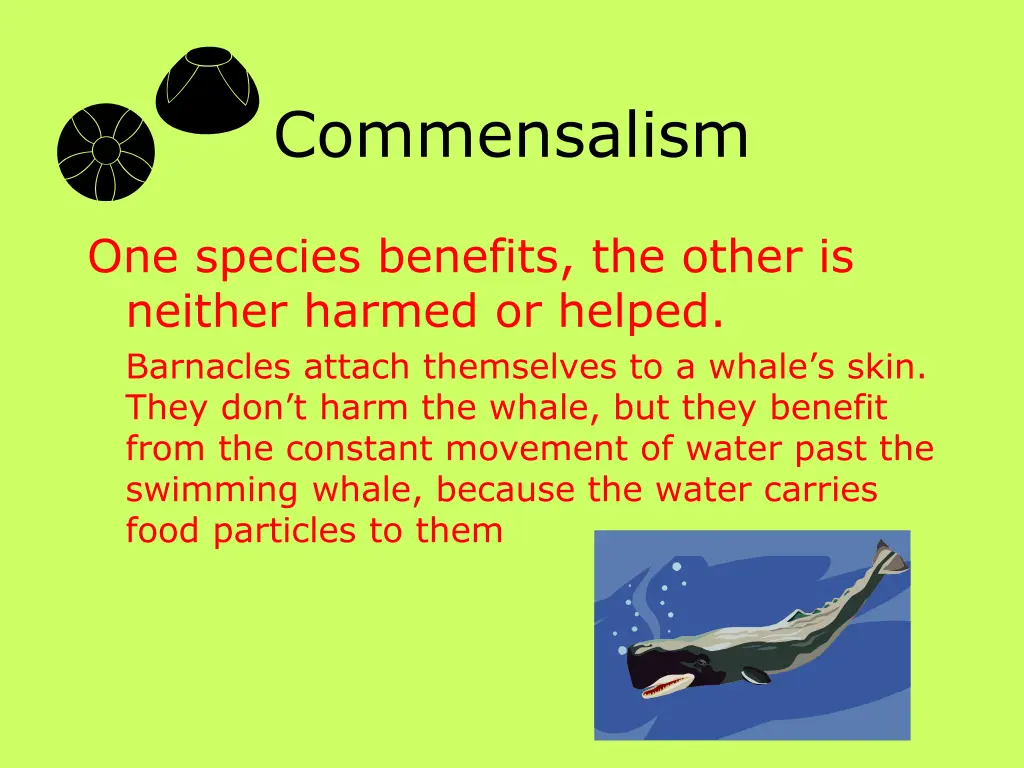 commensalism