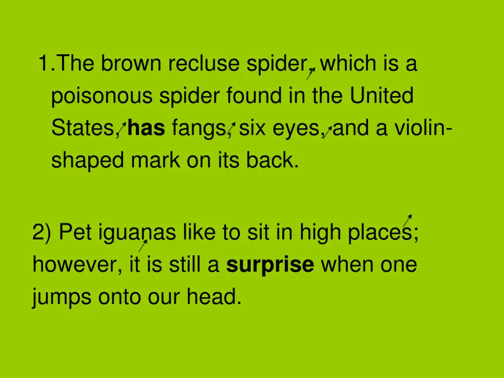 1 the brown recluse spider which is a poisonous 1