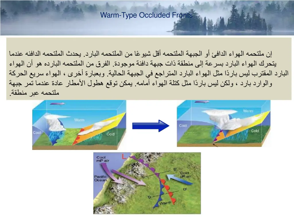 warm type occluded fronts 1