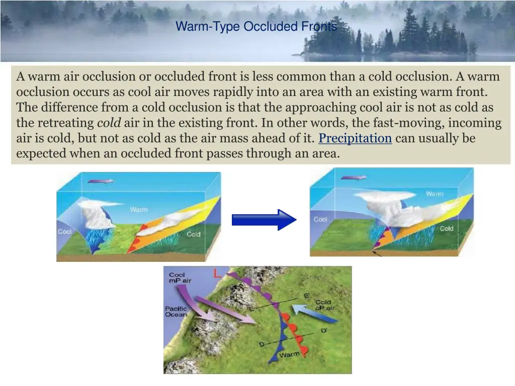 warm type occluded fronts