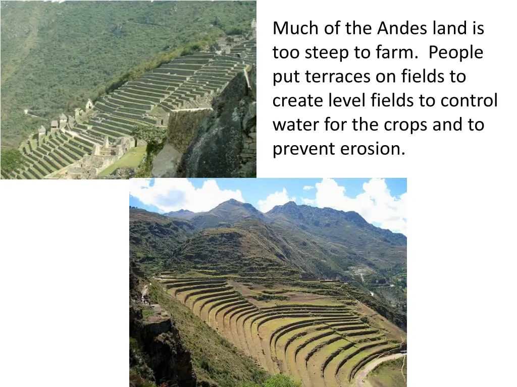 much of the andes land is too steep to farm