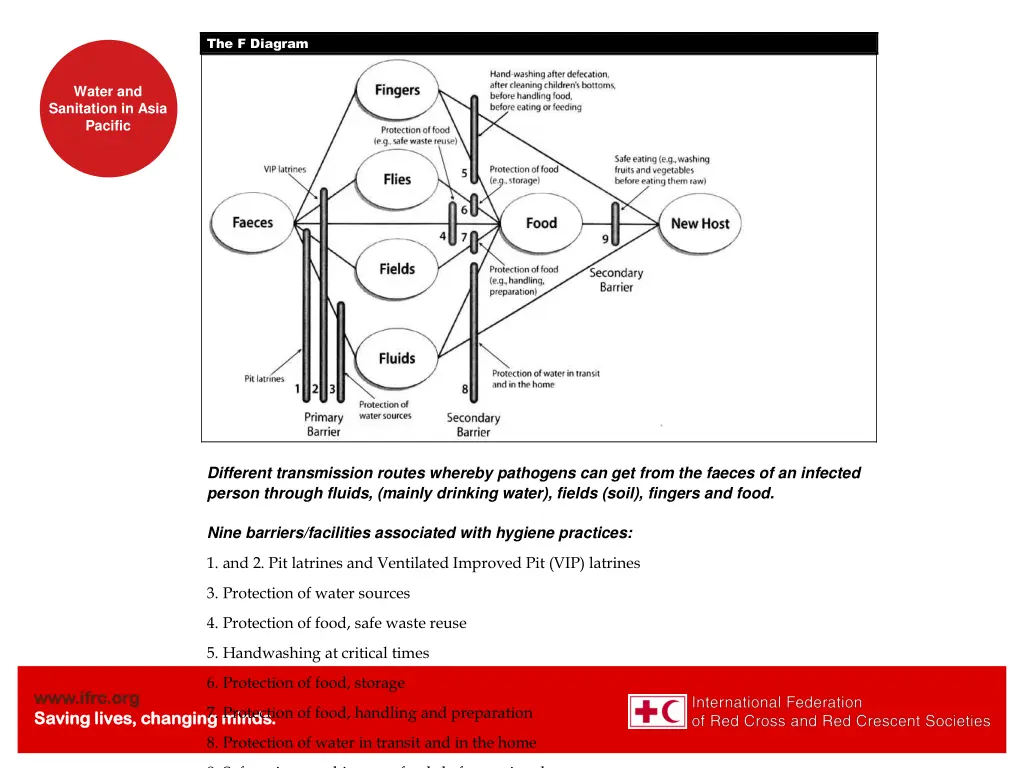 the f diagram