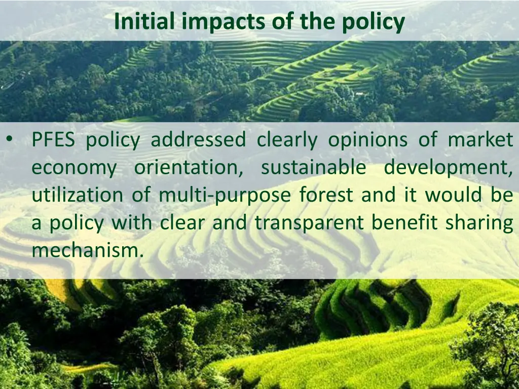 initial impacts of the policy 1