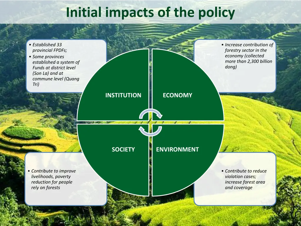 initial impacts of the policy