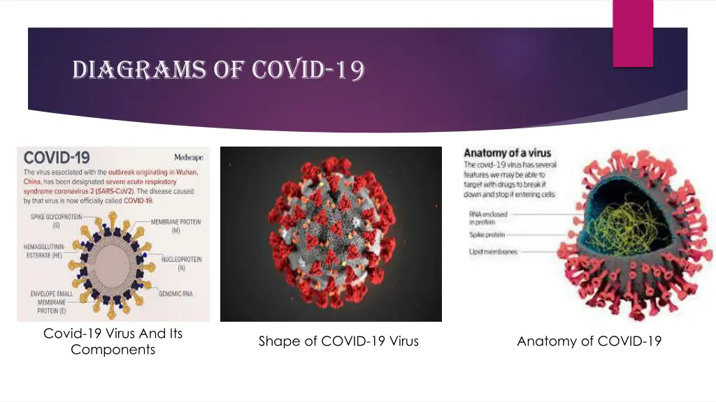 diagrams of covid 19