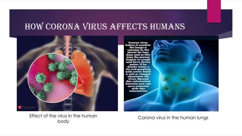 how corona virus affects humans