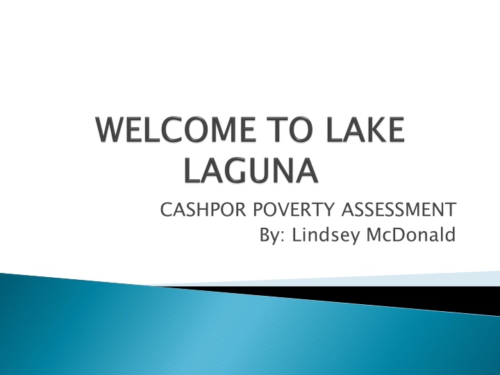 cashpor poverty assessment by lindsey mcdonald