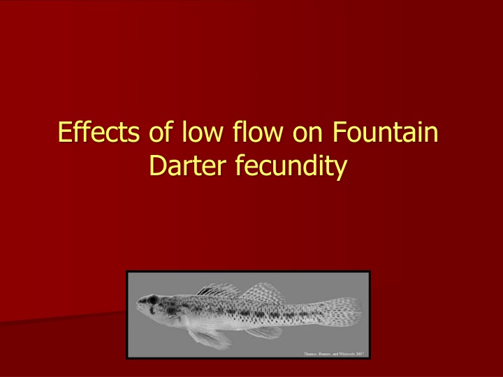 effects of low flow on fountain darter fecundity