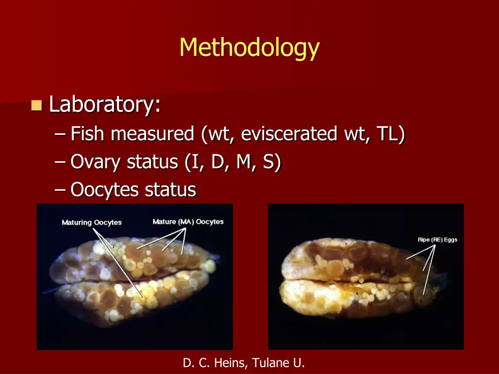 methodology 1