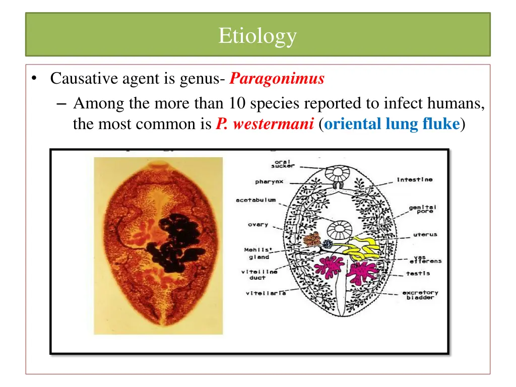 etiology