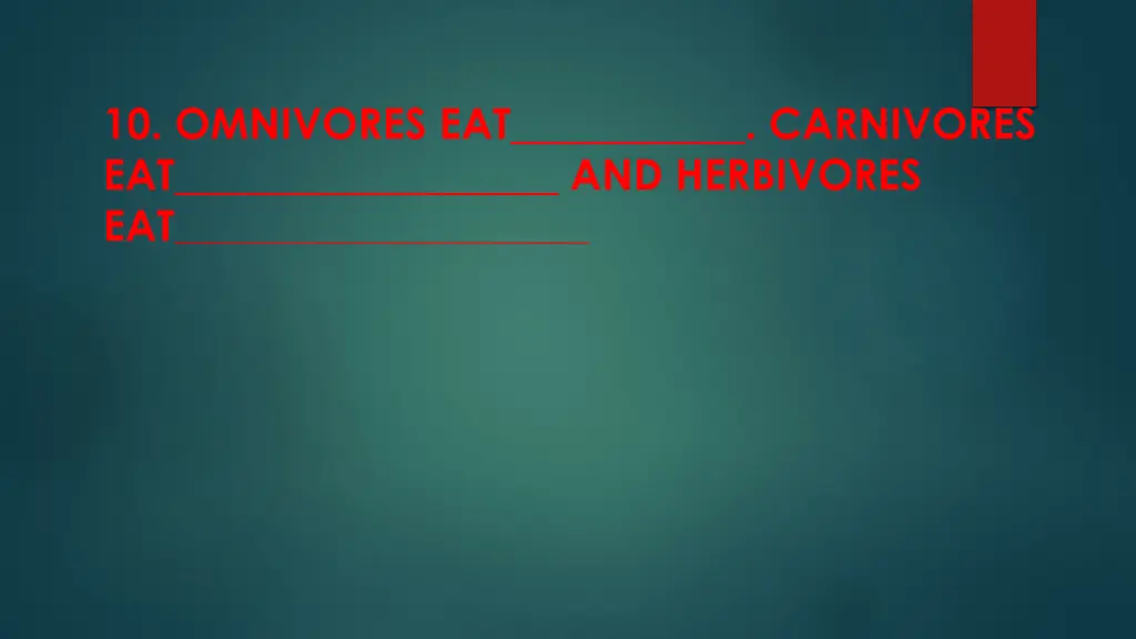 10 omnivores eat carnivores eat and herbivores eat