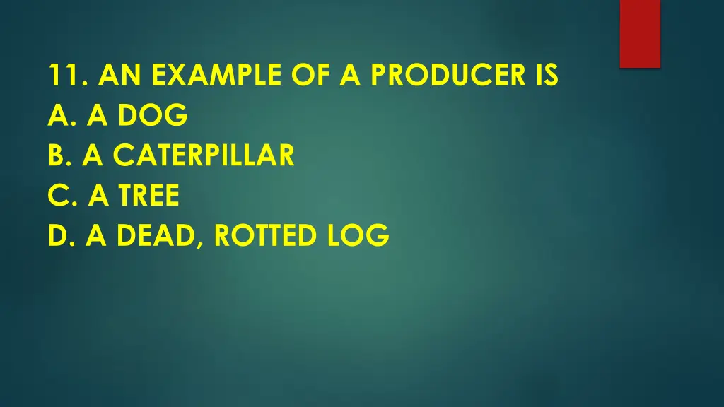 11 an example of a producer