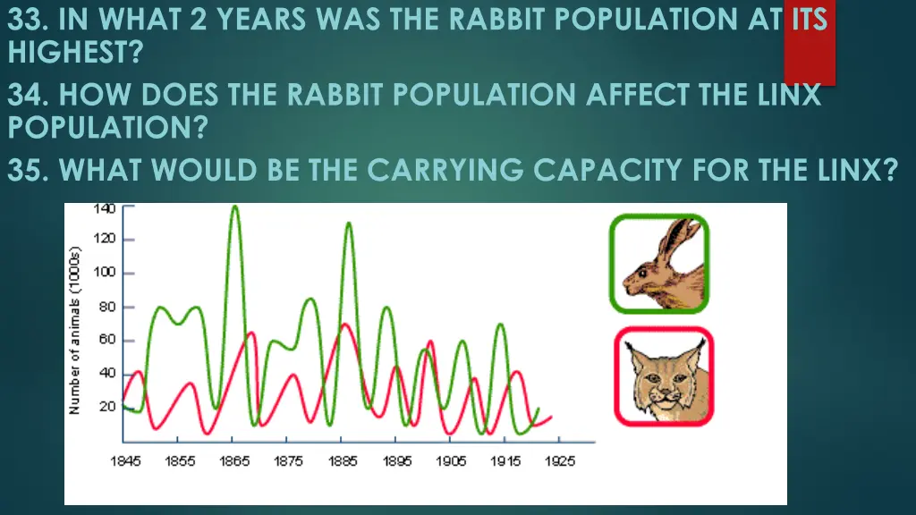 33 in what 2 years was the rabbit population