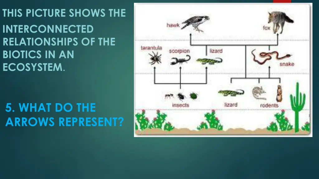 this picture shows the interconnected